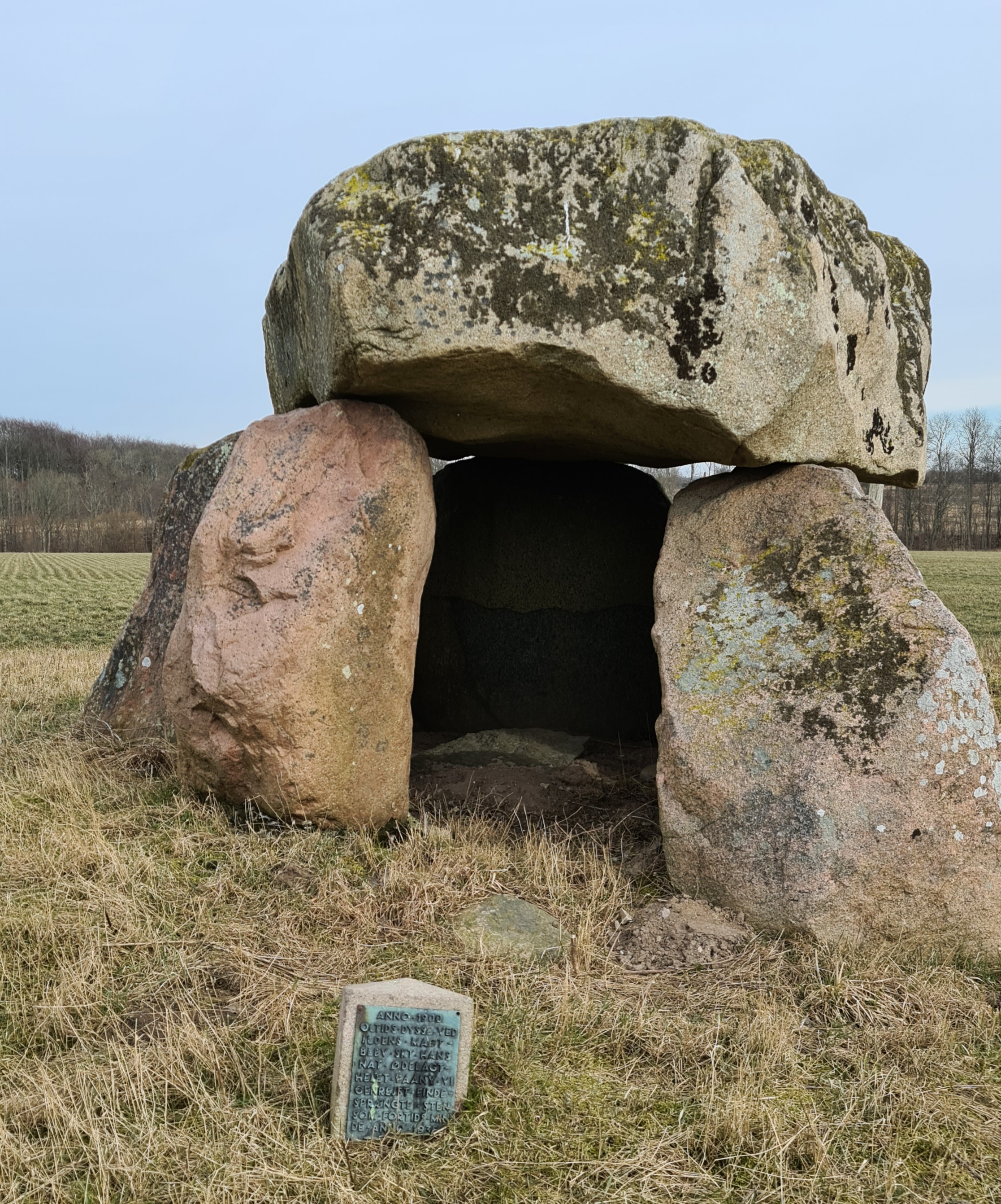 Eskildstrup-dyssen er en rundhøj fra den tidligere bondestenalder.